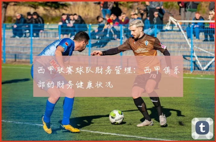 西甲联赛球队财务管理:西甲俱乐部的财务健康状况